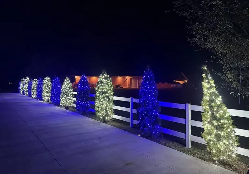 Evergreens along the fence line