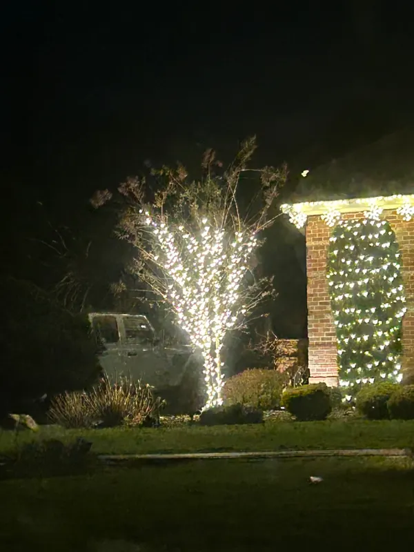 Wrapped tree and lit entry column